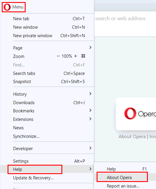 About Opera browser version