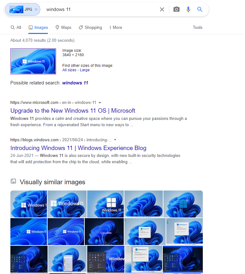 Search An Image on Google with Image Url