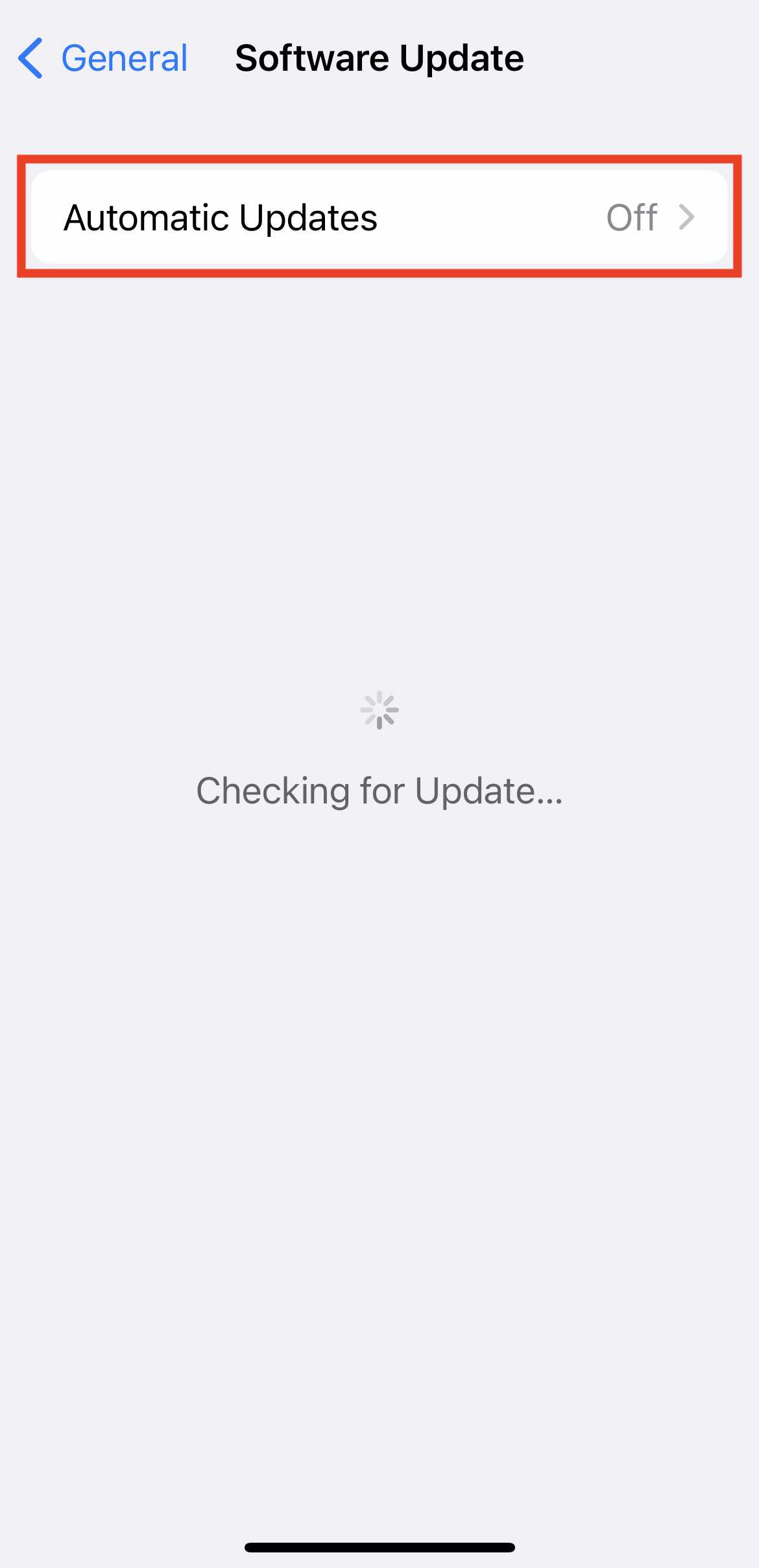 Automatic Updates on iPhone