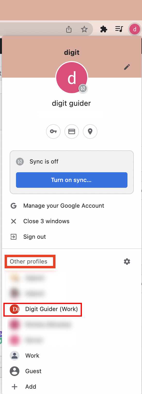 Other Google chrome profiles
