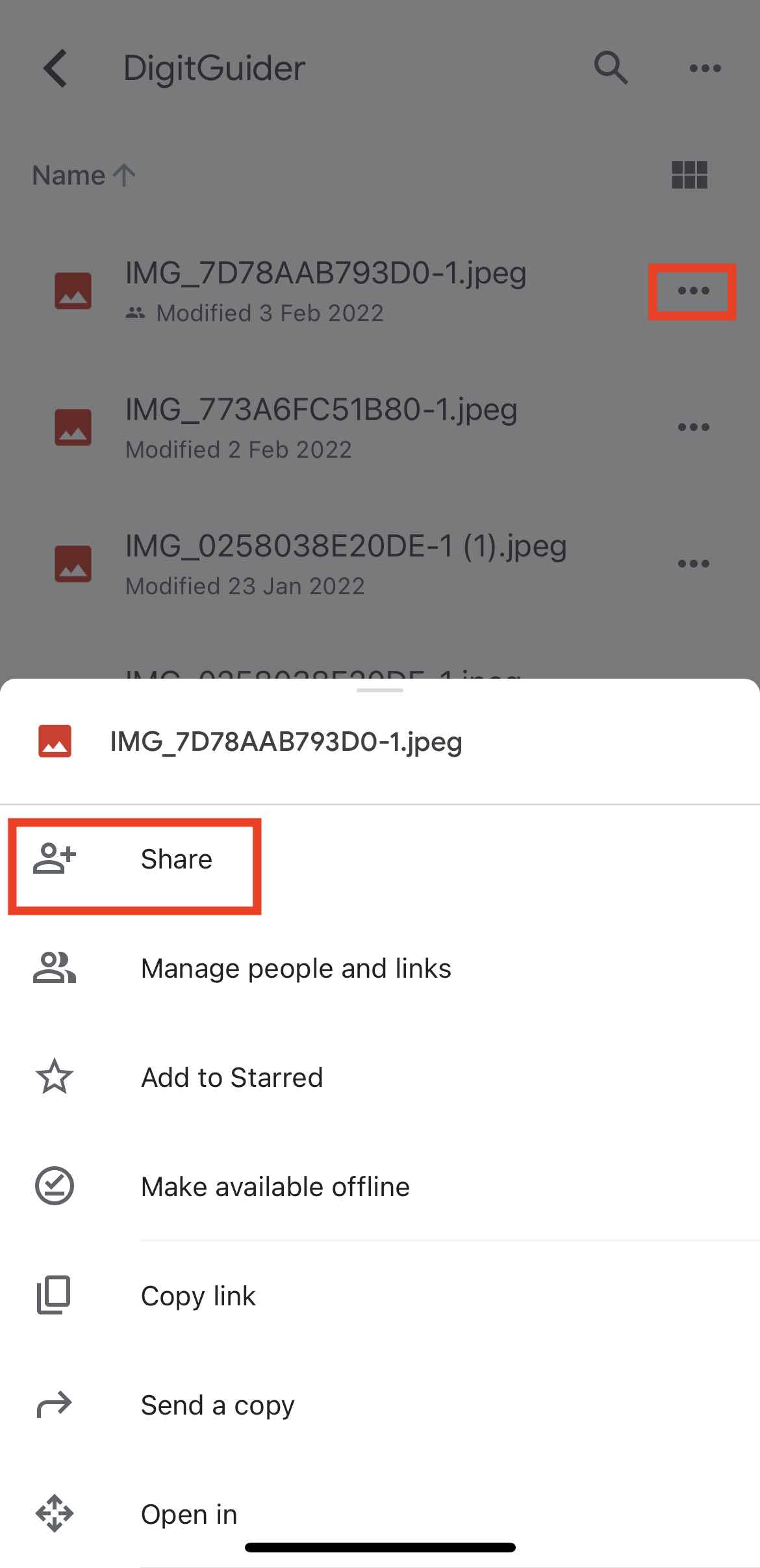 How to Share Google Drive files from iPhone