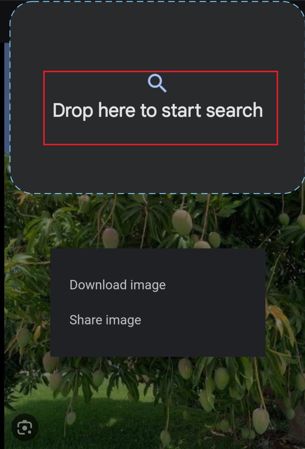 Google Reverse Image Search in Desktop & Mobile Phone